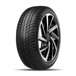 Roadstone Winguard Ice Plus 225/45R17 94T